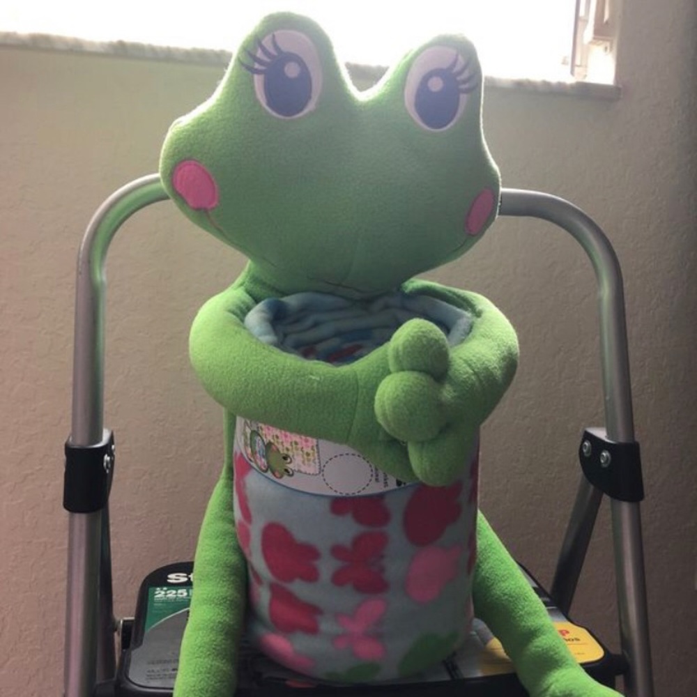 Blanket Buddies - Frog stuffed animal and blanket